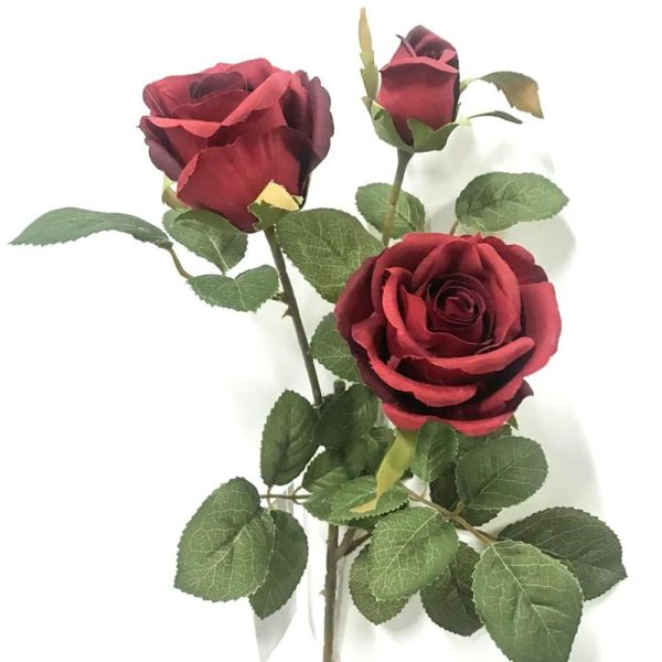 ROSA BOHEMIEN 3X BURGUNDY ROSA BOHEMIEN 3X BURGUNDY