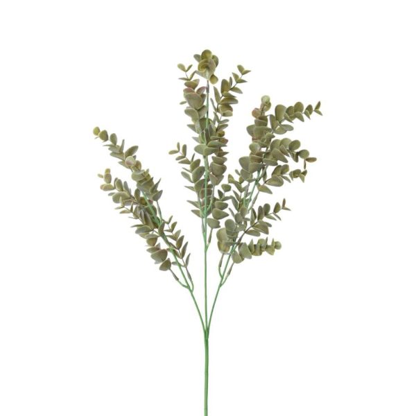 EUCALYPTO SPRAY 3X CM.57 VERDE MUSCHIO EUCALYPTO SPRAY 3X CM.57 VERDE MUSCHIO