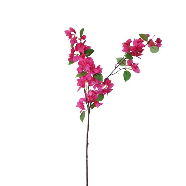 BOUGANVILLEA SPRAY 3X CM.90 FUXIA BOUGANVILLEA SPRAY 3X CM.90 FUXIA