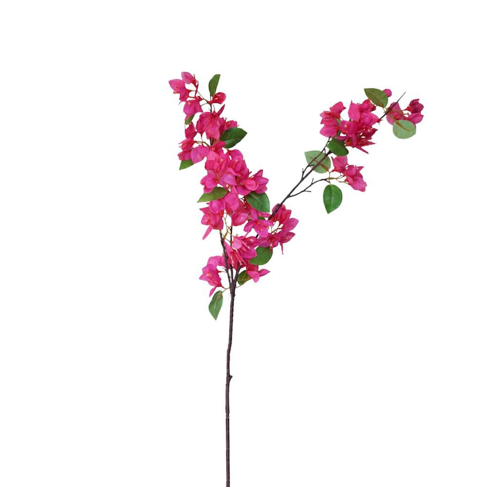 BOUGANVILLEA SPRAY 3X CM.90 FUXIA