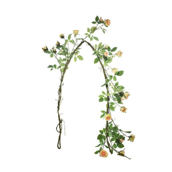 ROSE WILD FESTONE CM.160 PESCA ROSE WILD FESTONE CM.160 PESCA