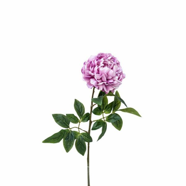 PEONIA SINGOLA MICRO PEACH 3LVS CM.70 FUXIA PEONIA SINGOLA MICRO PEACH 3LVS CM.70 FUXIA