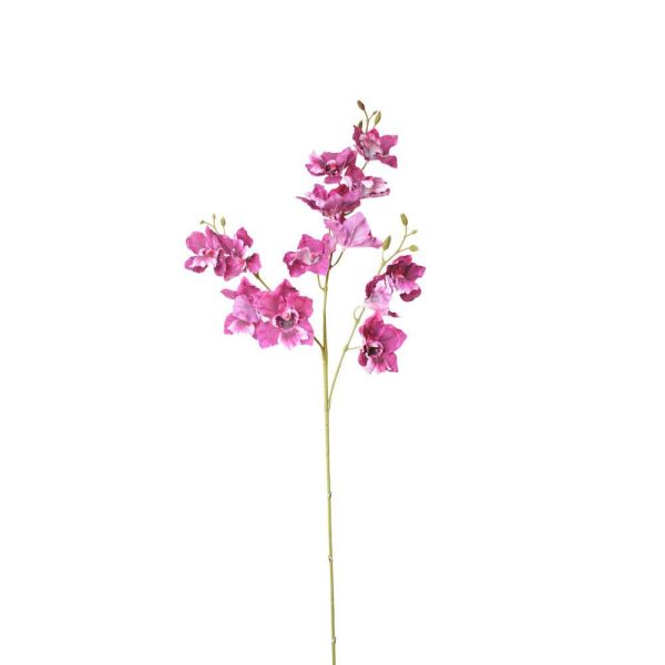 ONCIDIUM RAMO 3X CM.80 VIOLA ONCIDIUM RAMO 3X CM.80 VIOLA