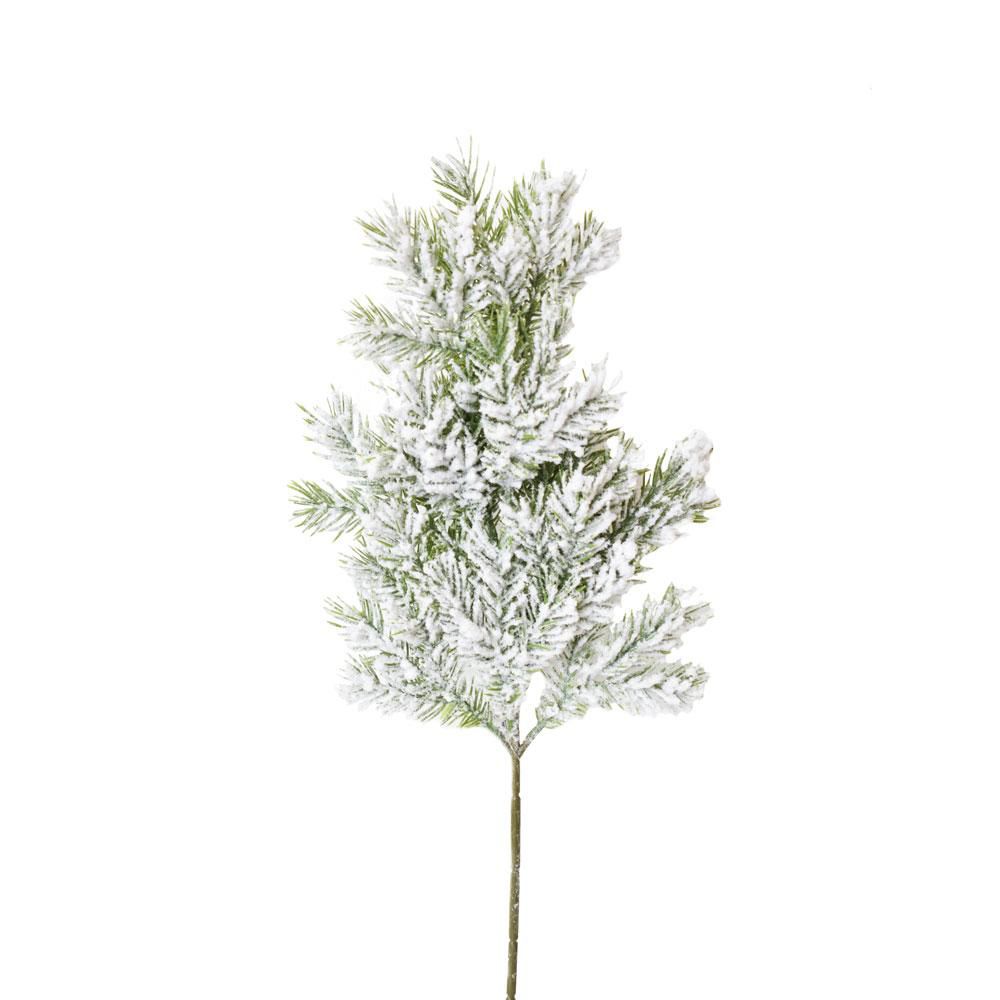 PINO RAMO CM.50 -COLORADO- INNEVATO PINO RAMO CM.50 -COLORADO- INNEVATO