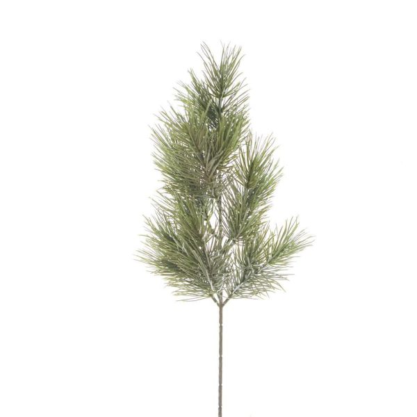 PINO SILVER RAMO 11TIPSCM.50 VERDE PINO SILVER RAMO 11TIPSCM.50 VERDE