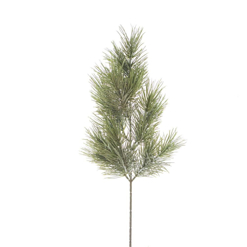 PINO SILVER RAMO 11TIPSCM.50 VERDE PINO SILVER RAMO 11TIPSCM.50 VERDE