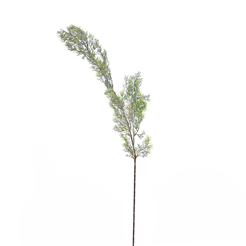 CEDAR SPRAY CM.40 INNEVATO CEDAR SPRAY CM.40 INNEVATO