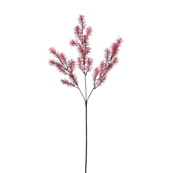 CAROTA SPRAY 3F CM.70 BORDEAUX CAROTA SPRAY 3F CM.70 BORDEAUX