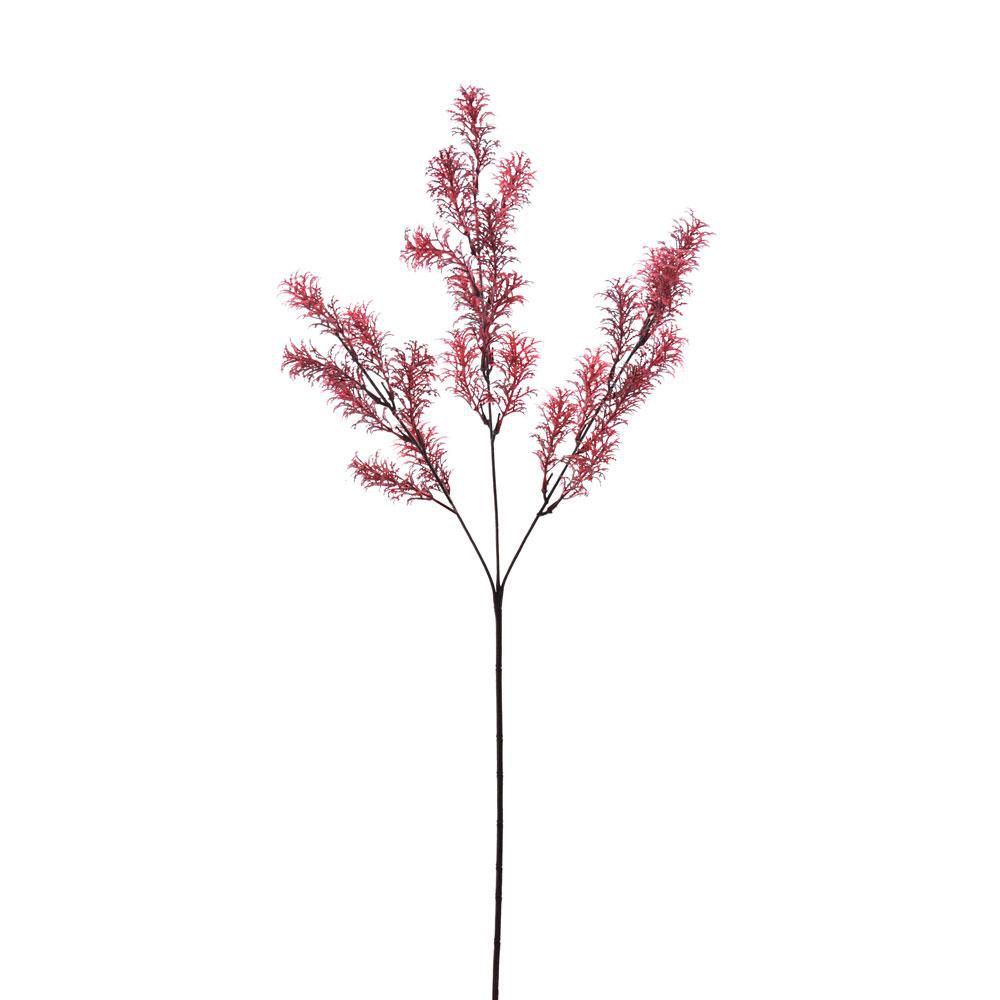 CAROTA SPRAY 3F CM.70 BORDEAUX