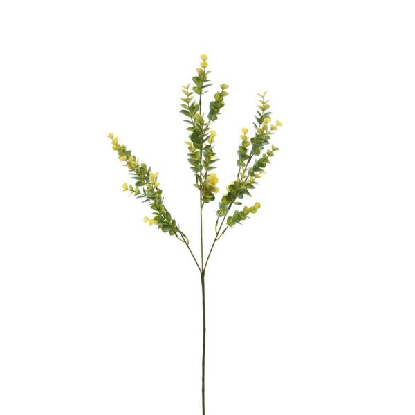 EUCALYPTO SPRAY X3 CM.75 VERDE/GIALLO EUCALYPTO SPRAY X3 CM.75 VERDE/GIALLO