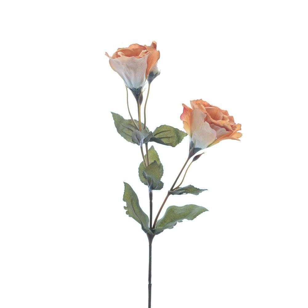 LISIANTHUS ROYAL VELVETSPRAY 3X CM.55 MOSTARDA LISIANTHUS ROYAL VELVETSPRAY 3X CM.55 MOSTARDA