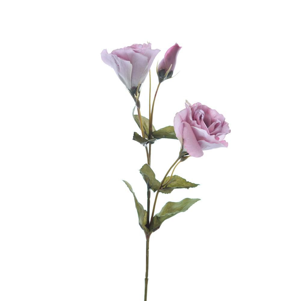 LISIANTHUS ROYAL VELVETSPRAY 3X CM.55 ROSA ANTICO LISIANTHUS ROYAL VELVETSPRAY 3X CM.55 ROSA ANTICO