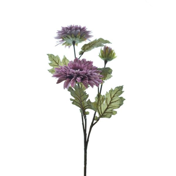 DALIA ROYAL VELVET 2F 1B CM.70 ROSA ANTICO DALIA ROYAL VELVET 2F 1B CM.70 ROSA ANTICO