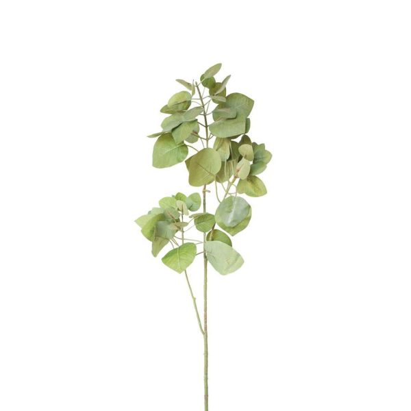 EUCALYPTO SPRAY 3X CM.95 VERDE EUCALYPTO SPRAY 3X CM.95 VERDE