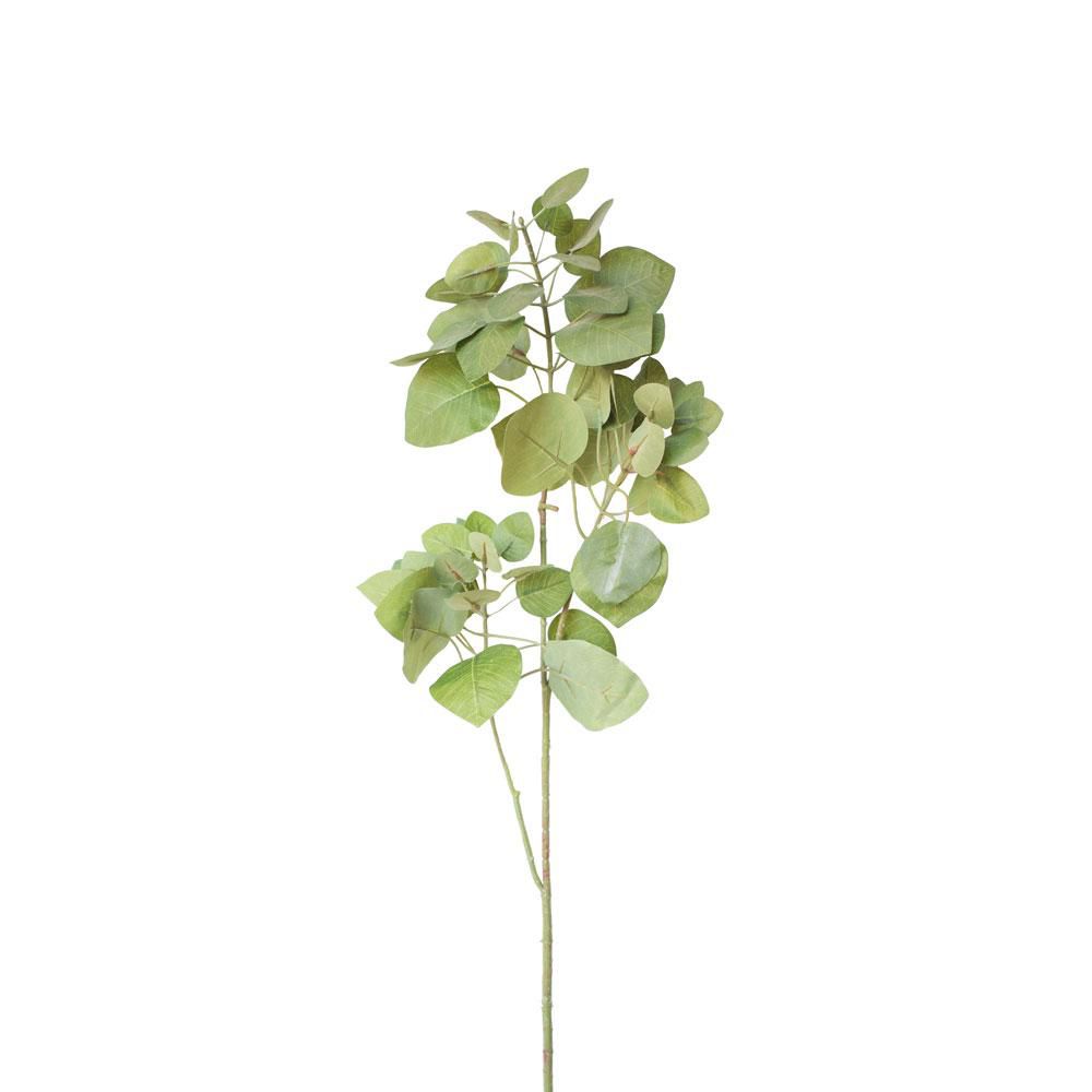 EUCALYPTO SPRAY 3X CM.95 VERDE EUCALYPTO SPRAY 3X CM.95 VERDE