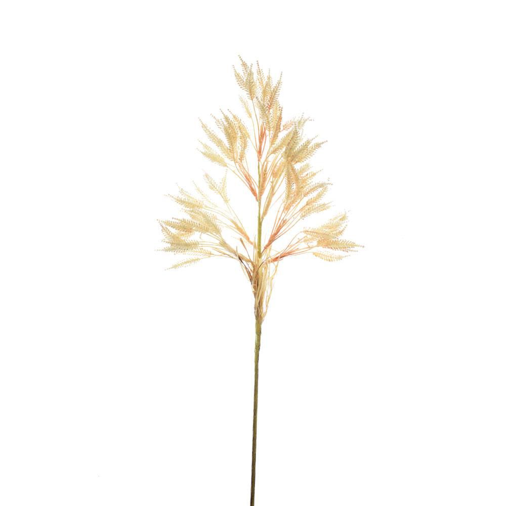 PAMPAS SPRAY CM.80 CREMA