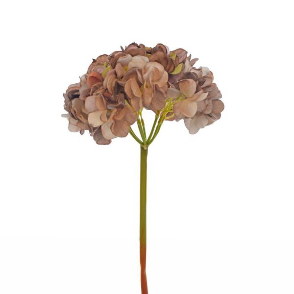 HYDRANGEA DRIED CM.60 LAVANDA HYDRANGEA DRIED CM.60 LAVANDA