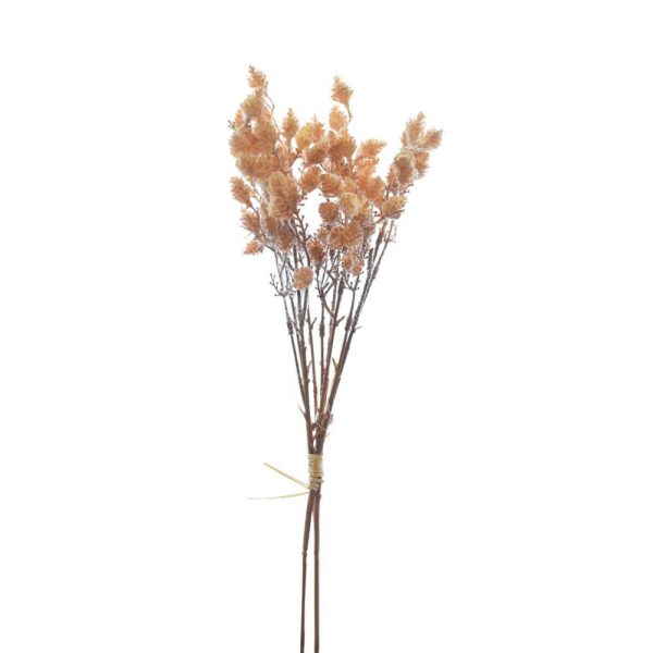 PHALARIS BOUQUET 3X CM.43 BEIGE PHALARIS BOUQUET 3X CM.43 BEIGE