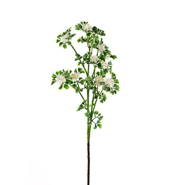 BERRY SPRAY CM.60 CREMA BERRY SPRAY CM.60 CREMA