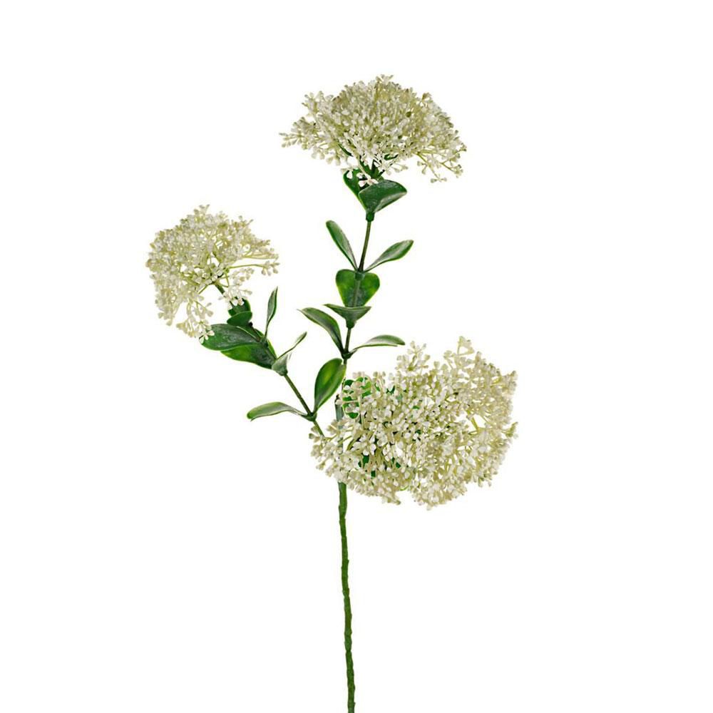 BLOOM SEDUM SPRAY 3X CM.58 CREMA BLOOM SEDUM SPRAY 3X CM.58 CREMA