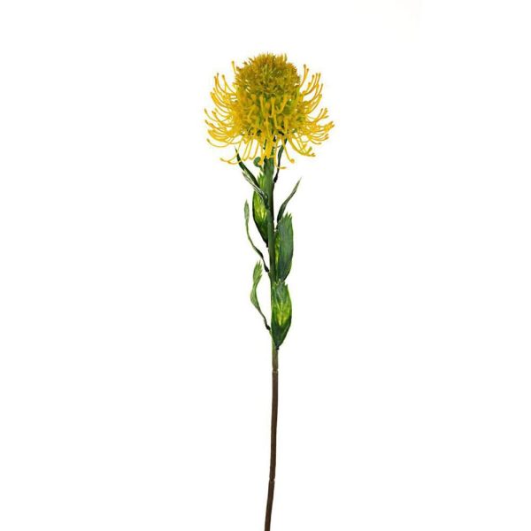 PROTEA BLOOMING SPRAY CM.60 GIALLO PROTEA BLOOMING SPRAY CM.60 GIALLO