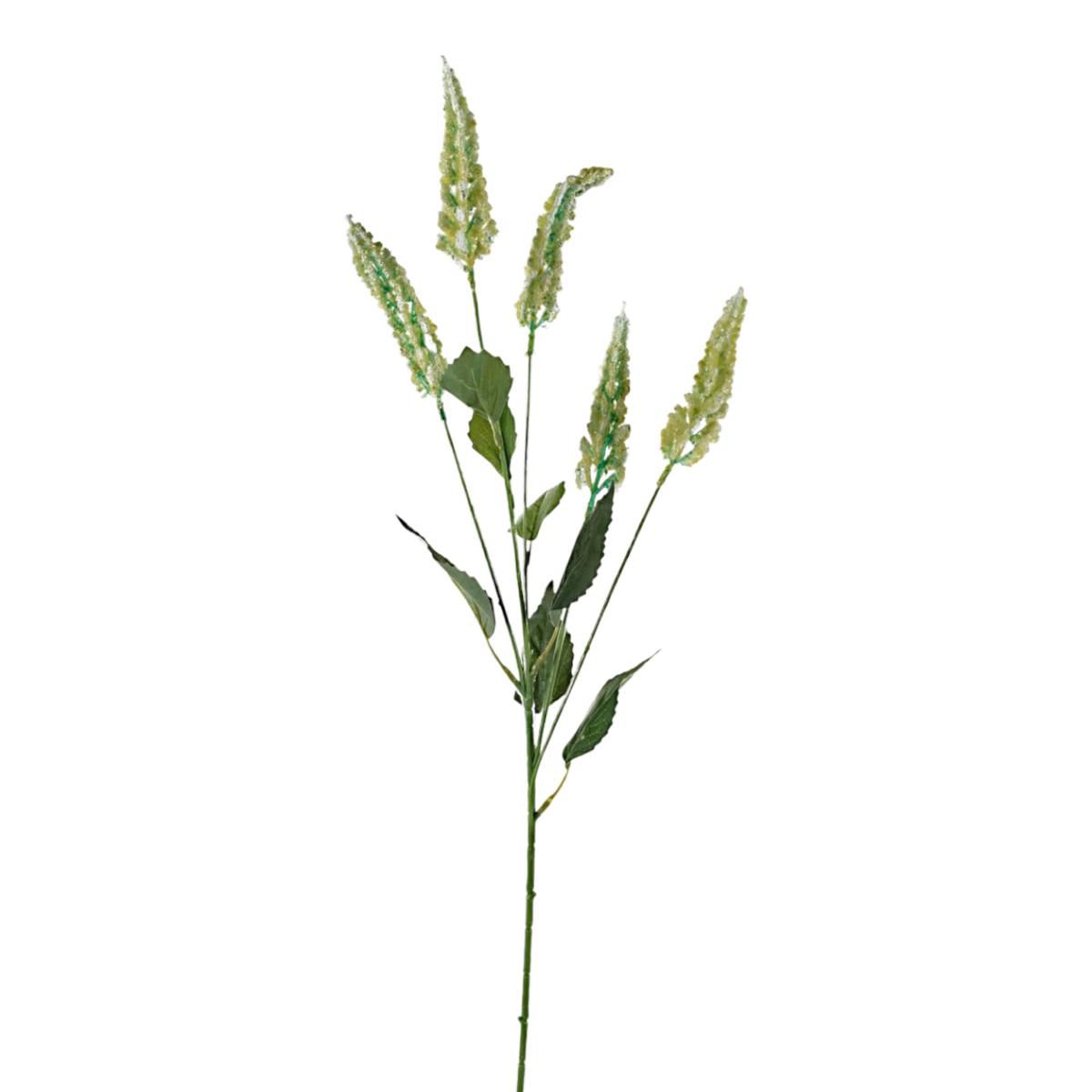 VERONICA SPRAY 5X CM.78CREMA VERONICA SPRAY 5X CM.78CREMA