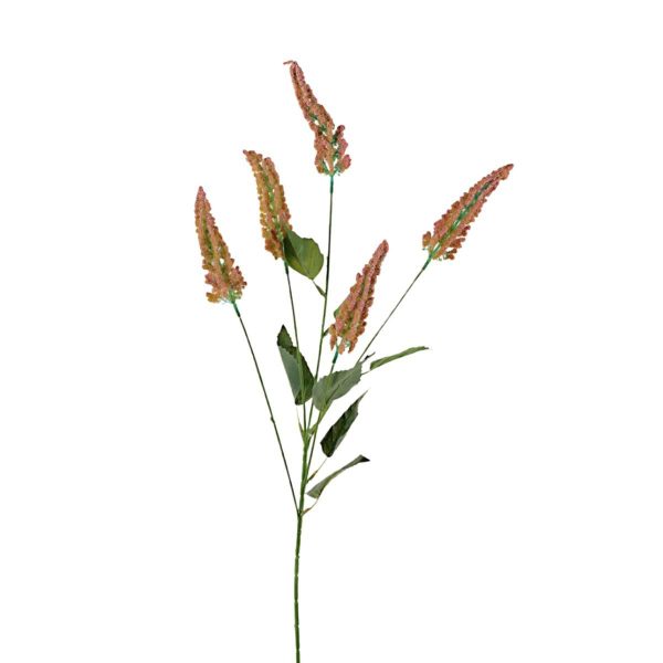 VERONICA SPRAY 5X CM.78ROSA VERONICA SPRAY 5X CM.78ROSA