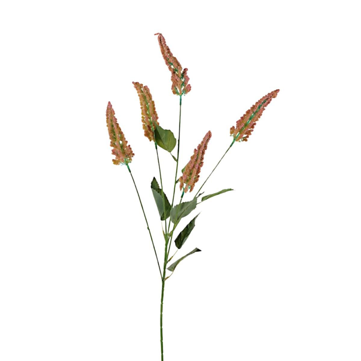 VERONICA SPRAY 5X CM.78ROSA VERONICA SPRAY 5X CM.78ROSA