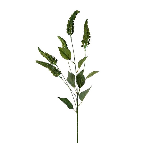 VERONICA SPRAY 5X CM.78VERDE VERONICA SPRAY 5X CM.78VERDE