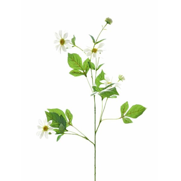 COSMEA SPRAY 6X CM.94 CREMA COSMEA SPRAY 6X CM.94 CREMA