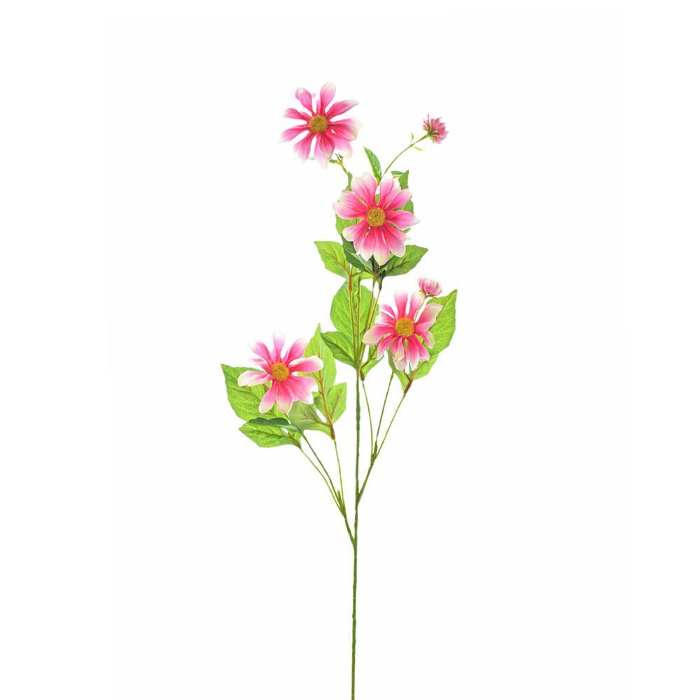 COSMEA SPRAY 6X CM.94 FUXIA