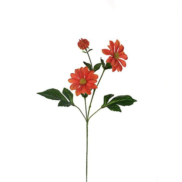 COSMEA SPRAY 3X CM.70 ARANCIO COSMEA SPRAY 3X CM.70 ARANCIO