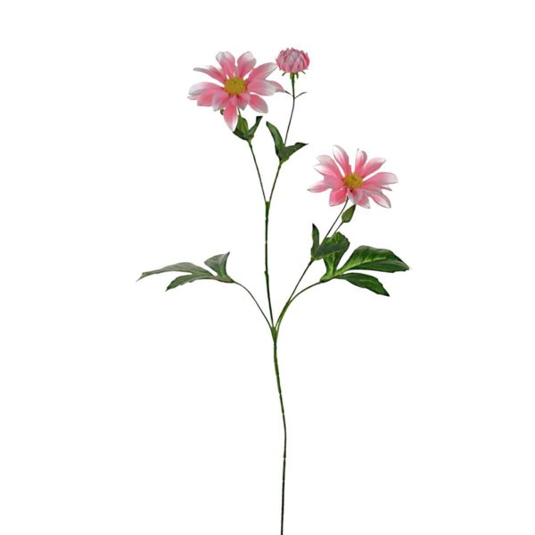 COSMEA SPRAY 3X CM.70 ROSA