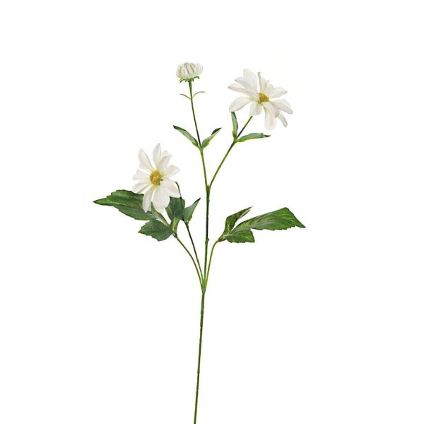 COSMEA SPRAY 3X CM.70 CREMA COSMEA SPRAY 3X CM.70 CREMA