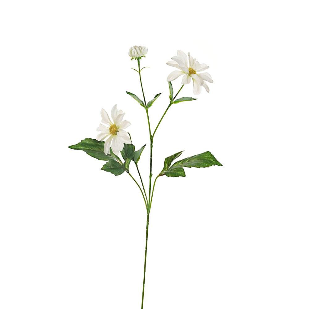 COSMEA SPRAY 3X CM.70 CREMA COSMEA SPRAY 3X CM.70 CREMA