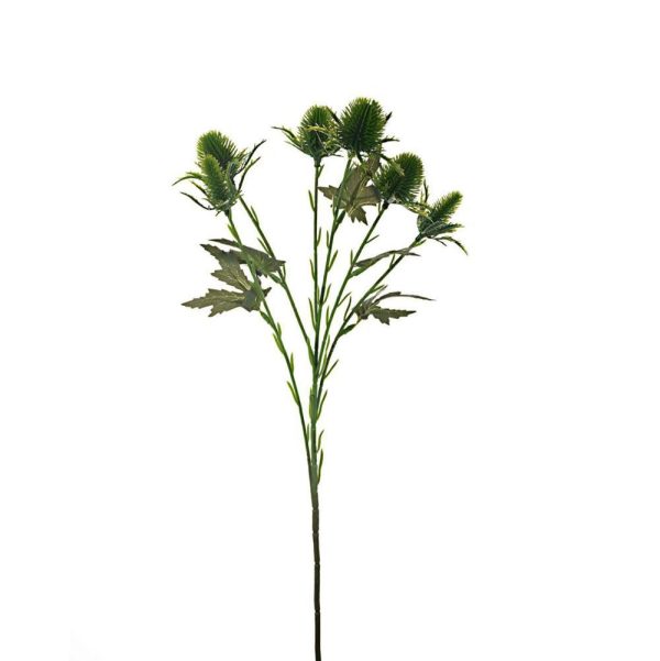 SEA HOLLY SPRAY CM.56 VERDE SEA HOLLY SPRAY CM.56 VERDE