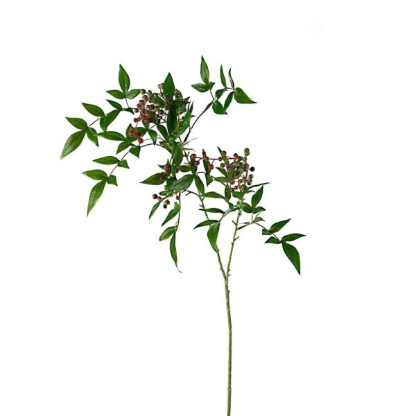 BERRY SPRAY 2X CM.100 VERDE/ROSSO BERRY SPRAY 2X CM.100 VERDE/ROSSO