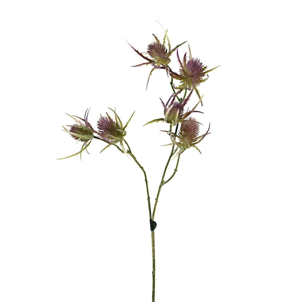 CARDO SPRAY 10X CM.70 LAVANDA CARDO SPRAY 10X CM.70 LAVANDA