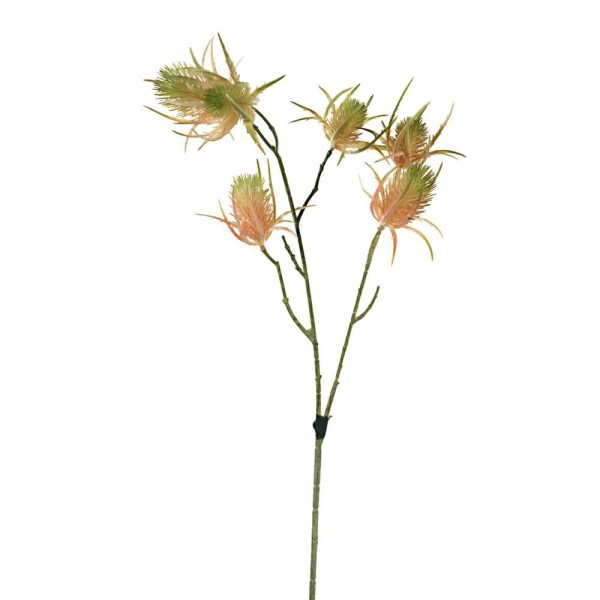 CARDO SPRAY 10X CM.70 ROSA CARDO SPRAY 10X CM.70 ROSA