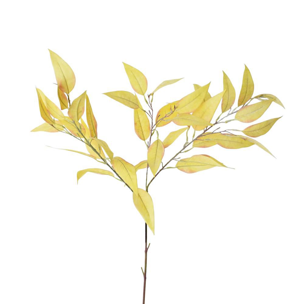 EUCALYPTO CM.83 GIALLO EUCALYPTO CM.83 GIALLO