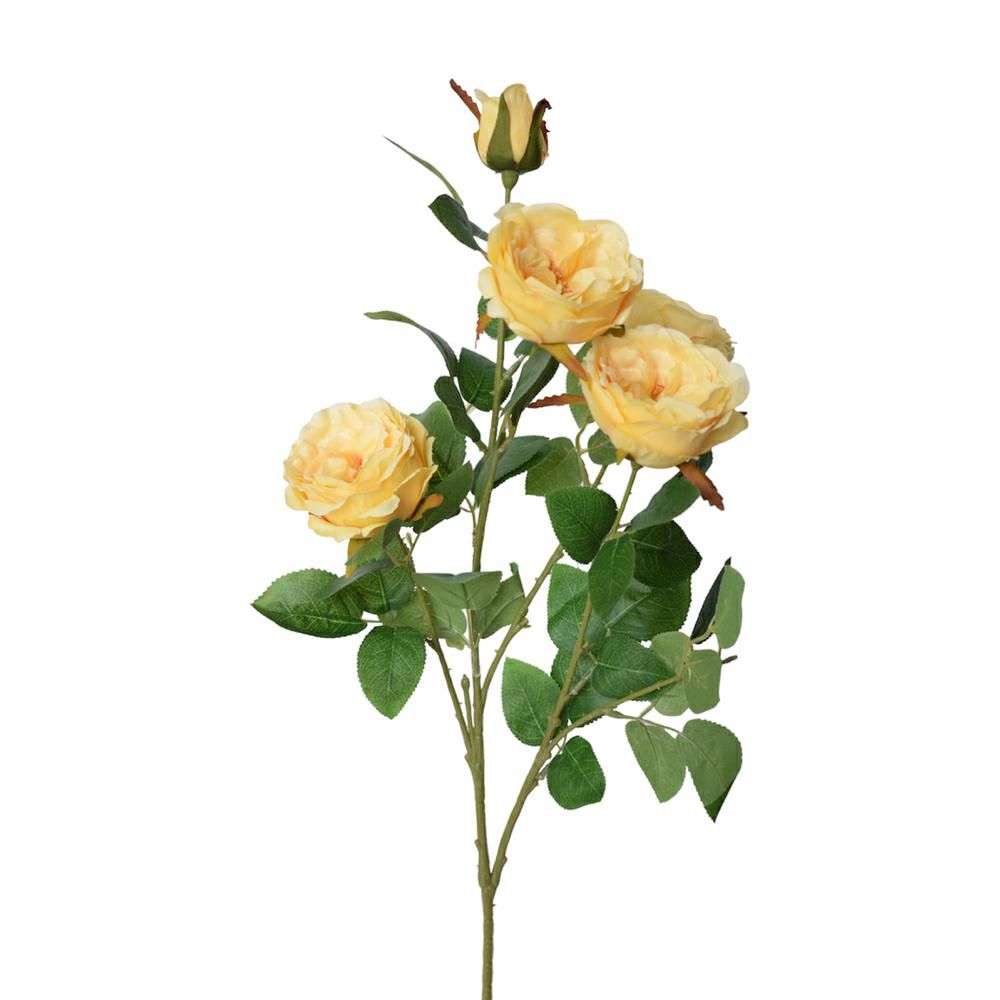 ROSA AUSTIN 4F 2B CM.70GIALLO ROSA AUSTIN 4F 2B CM.70GIALLO
