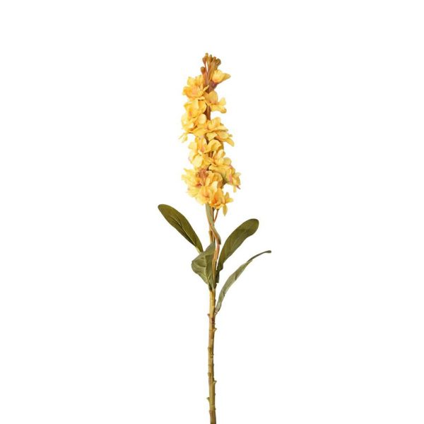 DELPHINIUM FLEMISH SPRAY CM.75 GIALLO DELPHINIUM FLEMISH SPRAY CM.75 GIALLO