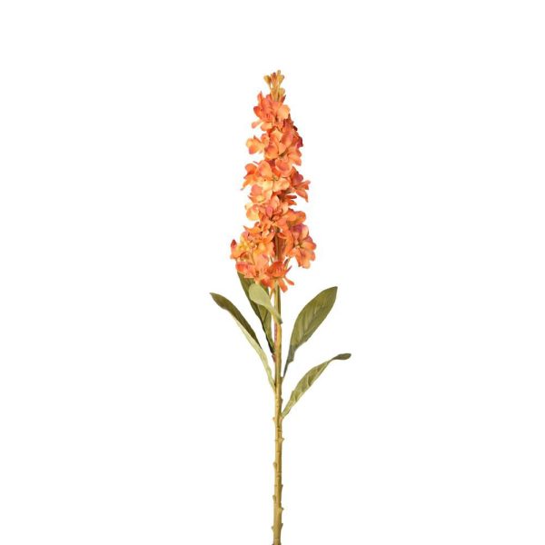 DELPHINIUM FLEMISH SPRAY CM.75 ARANCIO DELPHINIUM FLEMISH SPRAY CM.75 ARANCIO