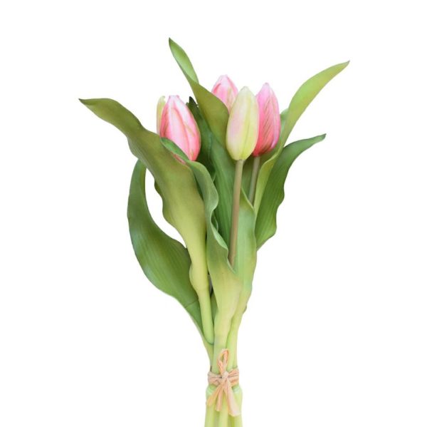 TULIPANO BOUQUET 5B CM.29 VERDE/ROSA TULIPANO BOUQUET 5B CM.29 VERDE/ROSA