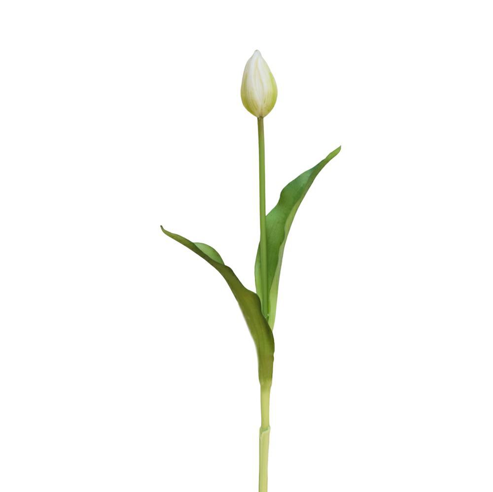 TULIPANO SPRAY CM.39 PANNA TULIPANO SPRAY CM.39 PANNA