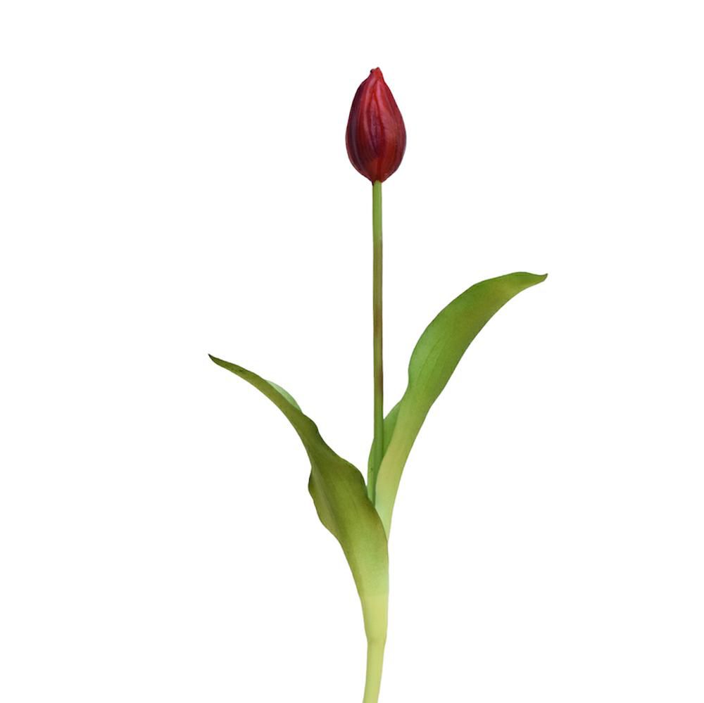 TULIPANO SPRAY CM.39 ROSSO/NERO TULIPANO SPRAY CM.39 ROSSO/NERO