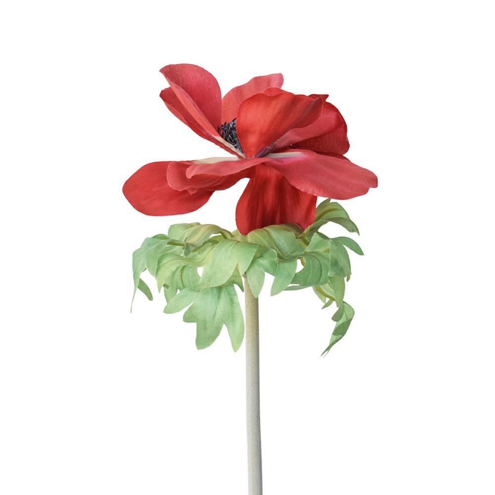 ANEMONE SPRAY CM.46 ROSSO ANEMONE SPRAY CM.46 ROSSO