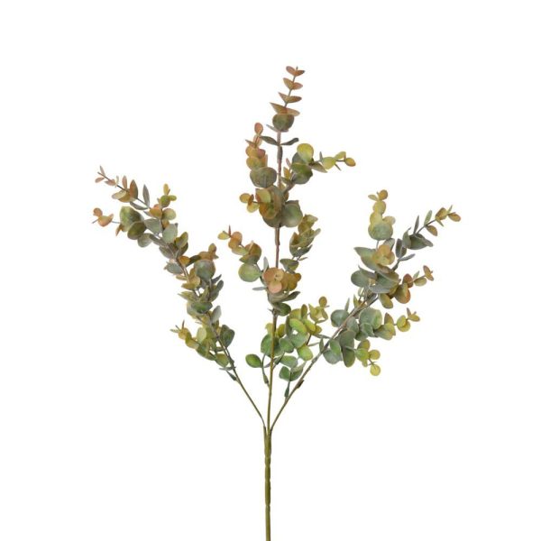 EUCALYPTO SPRAY 3X CM.64 VERDE/BEIGE EUCALYPTO SPRAY 3X CM.64 VERDE/BEIGE