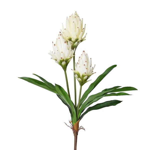 PATAYA CM.62 BIANCO PATAYA CM.62 BIANCO