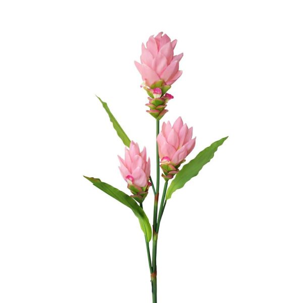 GINGER LOTUS 3X CM.113 ROSA GINGER LOTUS 3X CM.113 ROSA